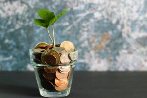 Small plant growing out of a glass jar filled with coins representing credit builder loans